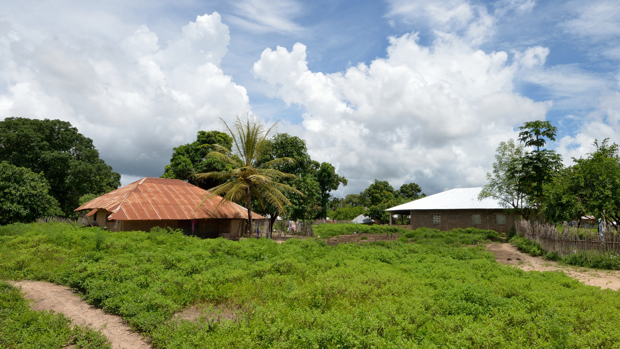 blog image
